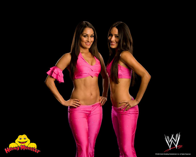 11 - club-bella twins