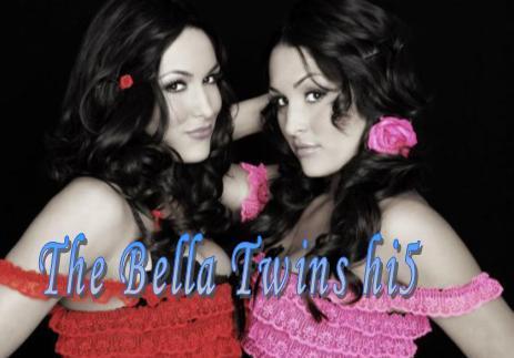 4 - club-bella twins