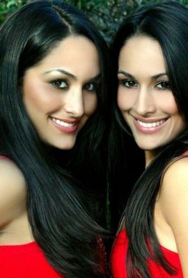 brie si nikki - Wwe-Divas