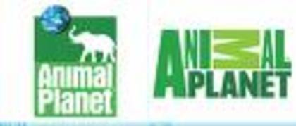 Animal Planet(1 vot)