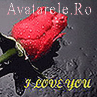 196 - AvAtArE