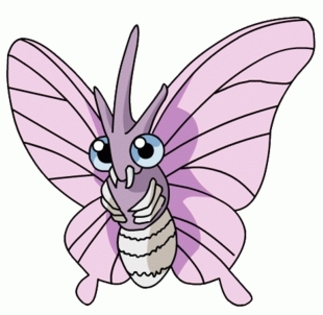 venomoth - Pokemon