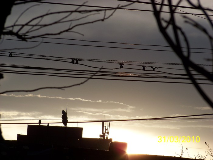 100_3803 - Primavara 2010 aprilie