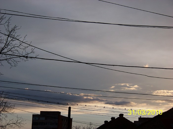 100_3813 - Primavara 2010 aprilie