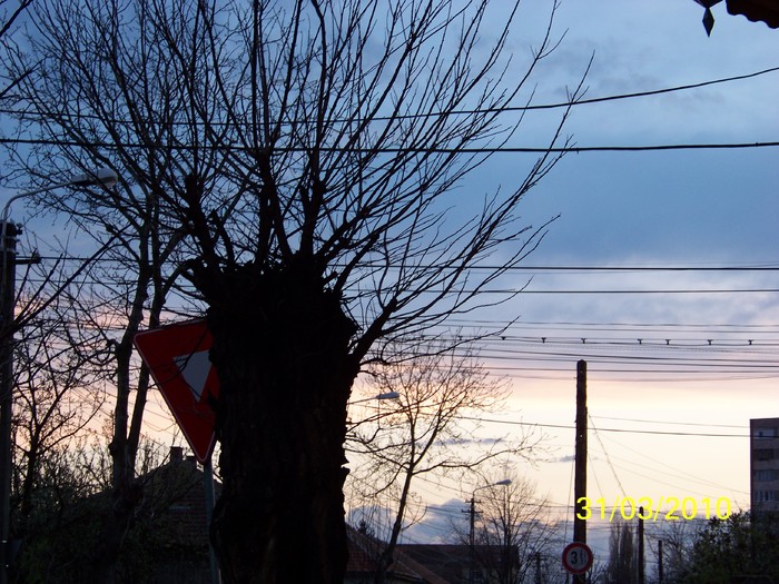 100_3843 - Primavara 2010 aprilie