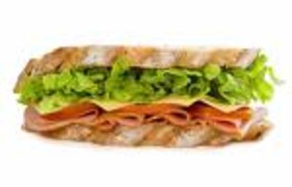 1 sandwich:1 poza iepuras de casa(ca aniamal de companie) - Mancare