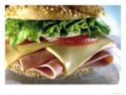 1 sandwich: 1 poza cel mai mik catel din lume