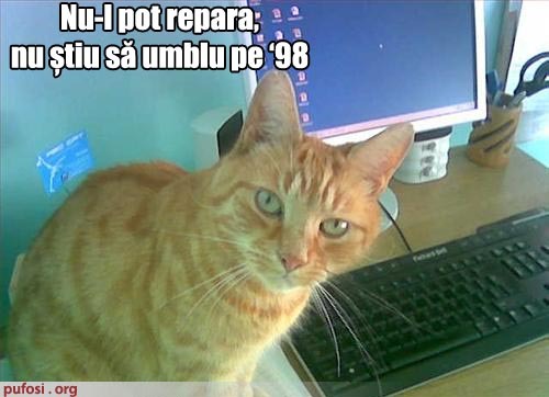 poza-amuzanta-pisica-nu-stie-sa-foloseasca-windows-98
