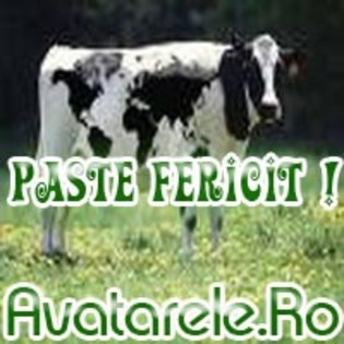 2 - Toate Pozele mele din PC