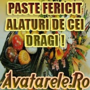 3 - Toate Pozele mele din PC