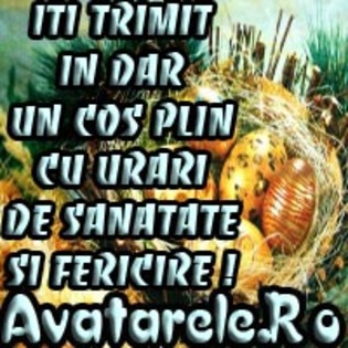 4 - Toate Pozele mele din PC