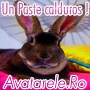 9 - Toate Pozele mele din PC