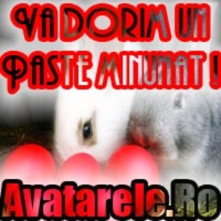 12 - Toate Pozele mele din PC