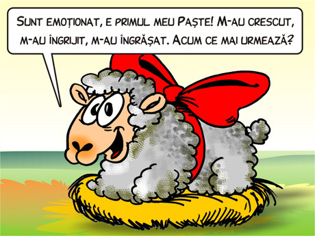 02_what_next - Toate Pozele mele din PC