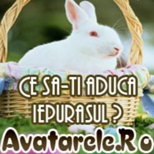 14 - Toate Pozele mele din PC