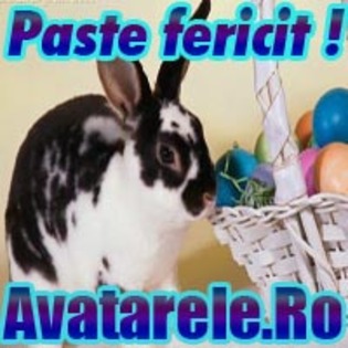 15 - Toate Pozele mele din PC