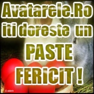 19 - Toate Pozele mele din PC