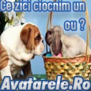 20 - Toate Pozele mele din PC