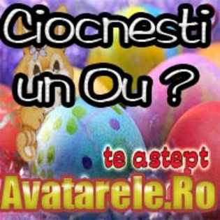 21 - Toate Pozele mele din PC