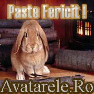 28 - Toate Pozele mele din PC