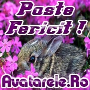 39 - Toate Pozele mele din PC