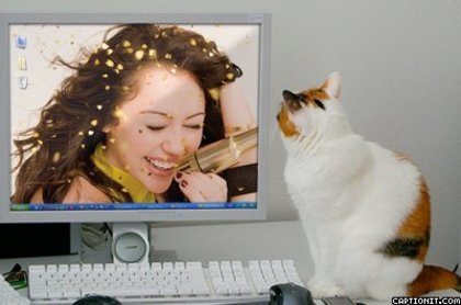 10424994_CNIOFUQCL - Toate Pozele mele din PC