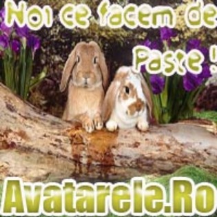 43 - Toate Pozele mele din PC