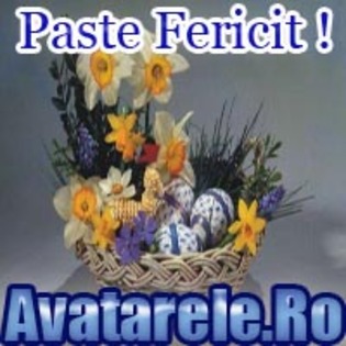 47 - Toate Pozele mele din PC