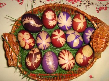 ou - Toate Pozele mele din PC