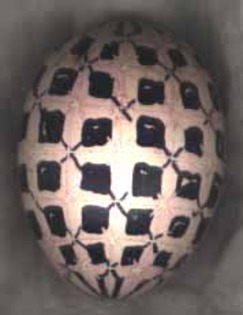 Ou3 - Toate Pozele mele din PC