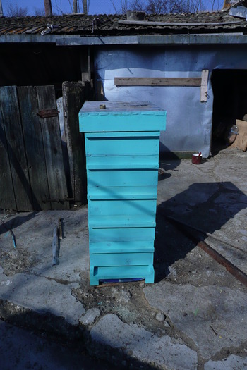 P1050983