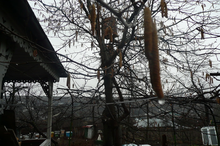 P1050776