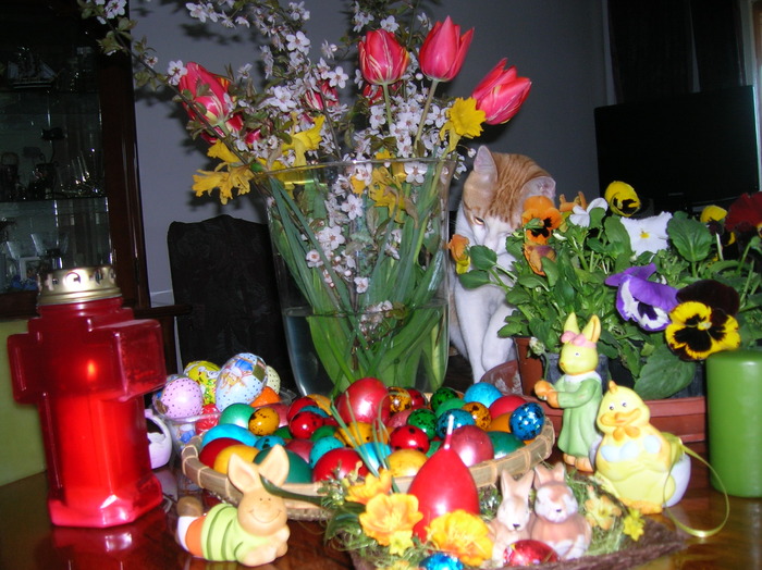 oferta este foarte bogata