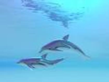 images[1] (2) - delfini