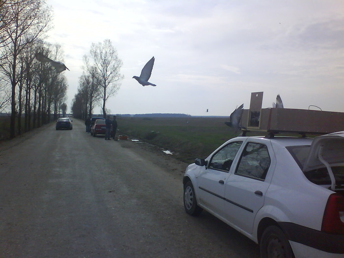 A II-A LANSARE-Corbi Mari (A1-km 51) - antrenamente-lansari