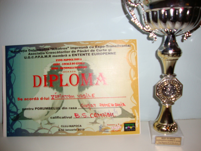 Bild 036 - prima diploma-expo cj 2010