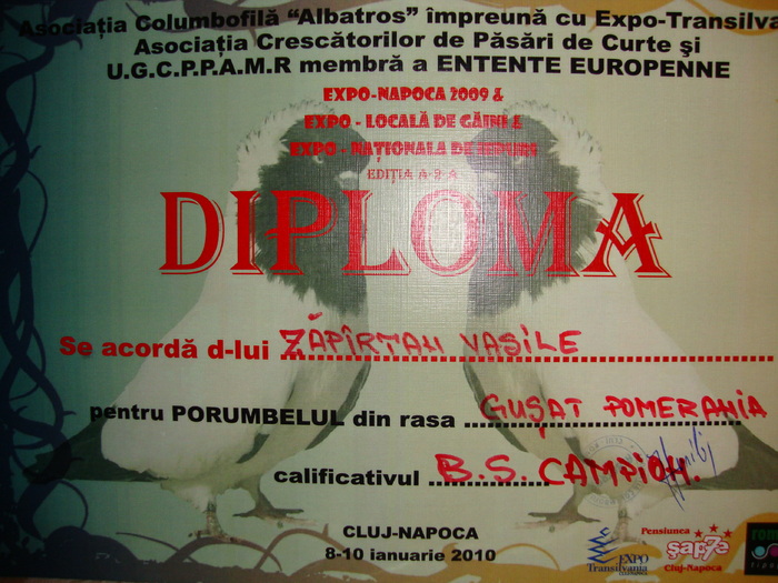 Bild 042 - prima diploma-expo cj 2010