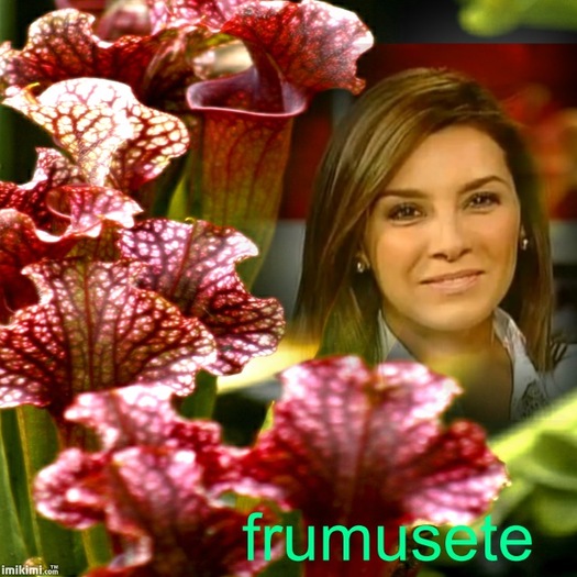 k0qav9 - elizabeth gutierrez