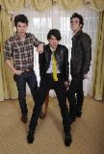 jonas-brothers_20 - album pentru XOXOjonasbrothersfanno1XOXO