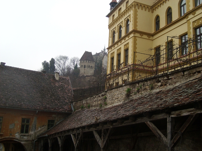 SL273858 - Sighisoara -2010