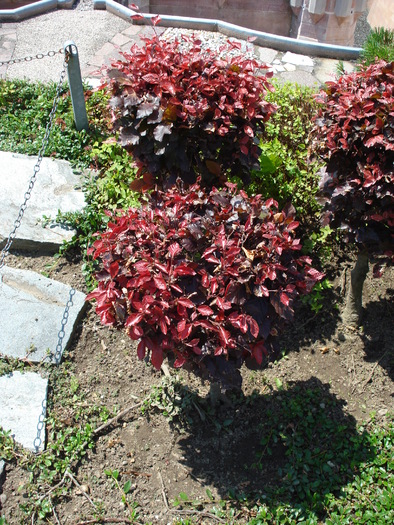 rosu; minimundus.at.
