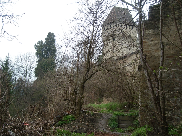 SL273945 - Sighisoara -2010