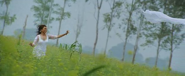 bscap242 - Dil Bole Hadippa-Inima Spune Uraaaa