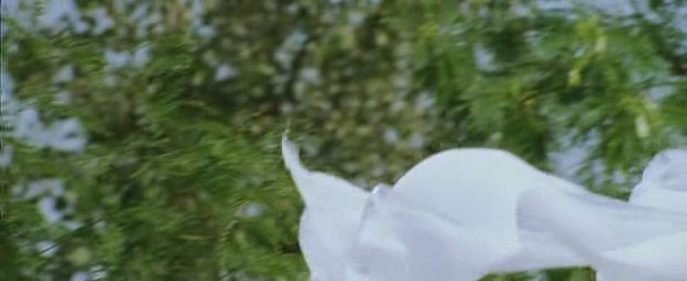 bscap243 - Dil Bole Hadippa-Inima Spune Uraaaa