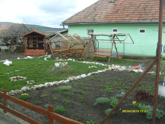 S6303404 - gradina mea 2010