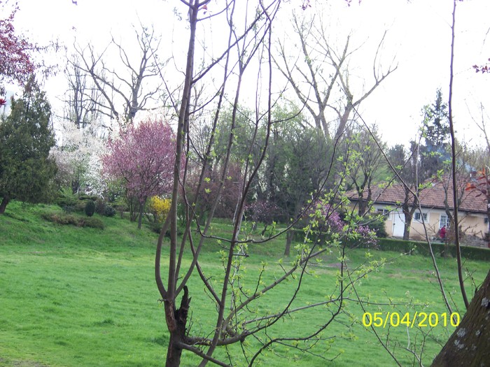 100_4431 - A doua zi de PASTI Timisoara 2010