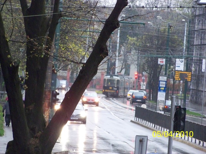 100_4462 - A doua zi de PASTI Timisoara 2010