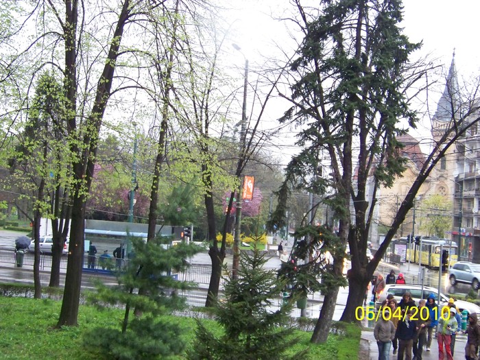 100_4468 - A doua zi de PASTI Timisoara 2010