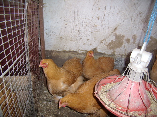 P3260830