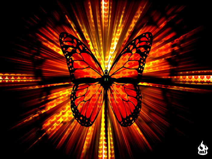 butterfly-wallpaper-1600
